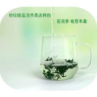 供應批發(fā)絞股藍 花草茶葉 七葉甘味絞股藍嫩葉茶湖南綏寧廠家貨源