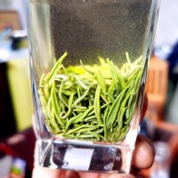 四川明前綠茶宜賓早茶白毫毛尖散裝綠茶定制加工批發茶葉源頭工廠