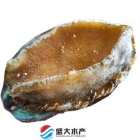 鮑魚 6頭鮑 -12頭鮑都有 活鮑燙煮 熟凍鎖鮮 爽脆不硬