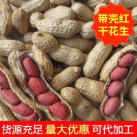 大量批發東北四粒紅花生果水煮帶殼紅皮干花生果帶殼生花生果新貨