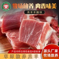 內蒙古草原蒙福羔羊羊腩塊冷凍15kg火鍋燒烤清燉紅燒食材工廠批發