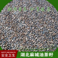 批發茶籽 油茶籽 湖北油茶籽 黃岡油茶籽 麻城山茶籽 苦茶籽