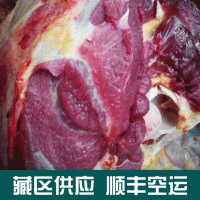 供應甘肅天祝白牦牛肉 新鮮牦牛肉 西藏牦牛肉 冷凍包裝生肉批發