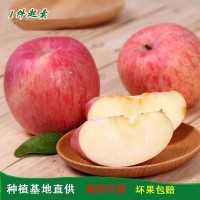 煙臺(tái)蘋果3斤5斤家庭裝 75/80/85mm以上水晶紅富士