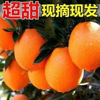 冰糖橙新鮮橙子10斤水果超甜手剝橙應(yīng)季孕婦水果果凍橙整箱批發(fā)