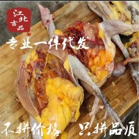 蘇北散養(yǎng)土雞蘇北農村農家一年以上老母雞放養(yǎng)草雞新鮮宰殺順豐