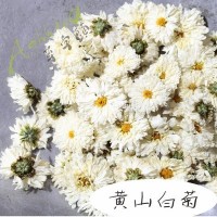 黃山白菊花貢菊散裝花品質太陽菊安徽花茶泡水花草茶大貨批發