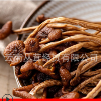 茶樹(shù)菇干貨散裝金針菇燉湯煲湯食用菌展銷(xiāo)會(huì)地?cái)偱l(fā)