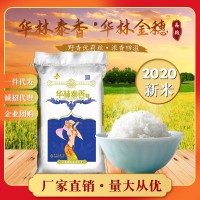 江西大米10斤華林金穗華林泰香米5Kg當季新米象牙米清香撲鼻廠批