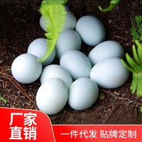 我老家土雞蛋50枚 雞場直銷農(nóng)家散養(yǎng)綠殼土雞蛋批發(fā)一件代發(fā)