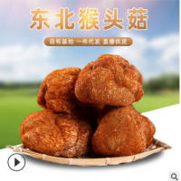 森龍干猴頭菇100g 農(nóng)副產(chǎn)品干貨煲湯食用菌東北特產(chǎn)猴頭菇