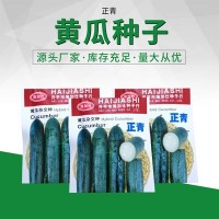 新品黃瓜雜交種 肉厚嫩脆黃瓜蔬菜籽 農(nóng)田菜園基地高產(chǎn)黃瓜種子