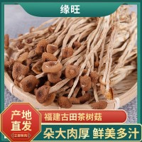 加工定制茶樹(shù)菇