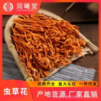 潤(rùn)曦堂 廠家批發(fā)定制貼牌干貨煲湯材料 孢子頭干蟲草花