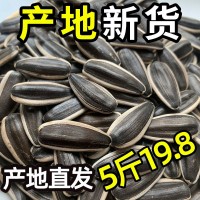 內蒙古生瓜子361葵花籽601新貨新鮮散裝批發(fā)363原味5斤裝大顆粒