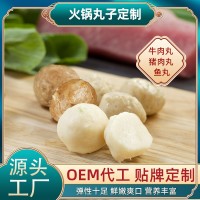 火鍋丸子批發(fā)代工牛肉丸豬肉丸魚(yú)丸貼牌定制冷凍食材燒烤關(guān)東煮