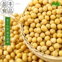 低溫烘焙大豆熟五谷雜糧熟黃豆廠家批發(fā)現(xiàn)磨磨粉豆?jié){批發(fā)