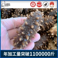 源頭工廠即食海參 大連即食海參 500g 生鮮即食海參批發 4-30頭