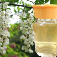 魯山槐花蜜 原汁原味蜂蜜 池上特產 魯山原蜜