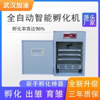 全自動孵化機 智能家禽孵化機 大型控溫卵蛋器 大型工業卵蛋器