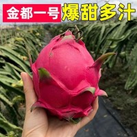 金都一號新鮮水果批發(fā)當季整箱5斤非越南廣西農(nóng)產(chǎn)品紅心火龍果