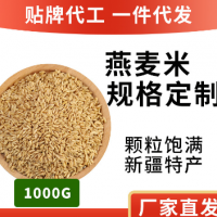 燕麥米500g農(nóng)家五谷雜糧燕麥仁廠家批發(fā)東北粗糧米一件代發(fā)