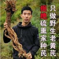 甘肅特產野生黃芪大片岷縣無硫野生老黃芪整支條批發供應一件代發