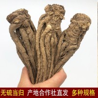 岷縣無硫當歸條批發價甘肅產地直供中藥材全當歸個子可切當歸頭片