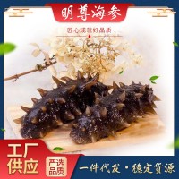 明尊9A級(jí)大連即食海參500g刺參鮮蒸即食海參 廠(chǎng)家批發(fā) 順豐發(fā)貨