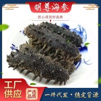 大連A級(jí) 淡干海參500g 廠(chǎng)家批發(fā) 非即食海參 海參干貨 海參禮盒裝