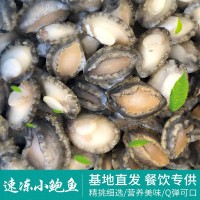 速凍鮑魚(yú)批發(fā)不帶殼冷凍小鮑魚(yú)肉 海鮮餐飲酒店海產(chǎn)品貝類廠家