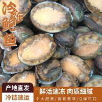 凍干鮑魚6-12頭鮑魚 海鮮水產(chǎn)酒店佛跳墻食材 帶殼活凍大鮑魚批發(fā)