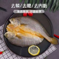 海肴膳醇香黃魚鲞黃瓜魚阿信水產批發 寧德大黃魚新鮮冷凍黃花魚