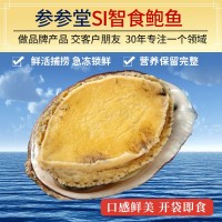 順豐廠家批發煙臺鮮活七孔即食鮑魚 海捕新鮮海鮮佛跳墻食材