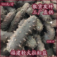 福建拉缸鹽海參魷魚小龍蝦煙臺(tái)特產(chǎn)鮮食遼參批發(fā)食品禮盒