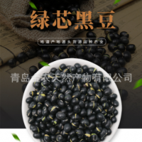 廠家直供黑皮綠仁烘炒黑豆-量大質(zhì)優(yōu)，出口品質(zhì)