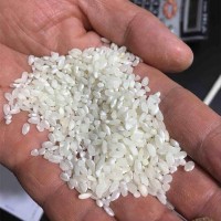 無粘性早稻米 生產河粉米豆腐米線涼皮米粉干 早秈米貨源廠家直批