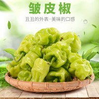 云南特產農家自種皮薄皺皮辣虎皮辣椒青辣椒清脆新鮮蔬菜現摘現發（價格面議）