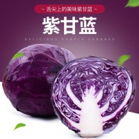 云南新鮮蔬菜紫甘藍紫包菜球生菜沙拉蔬菜生菜卷心菜椰菜現摘現發（價格面議）