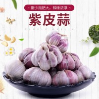 當(dāng)季新鮮干大蒜紫皮蒜紅皮干蒜頭紫蒜多瓣蒜蒜種子產(chǎn)地批發(fā)（價格面議）