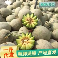 10斤包郵新疆哈密瓜25號新鮮應季當季水果整箱州蜜瓜西香甜網(wǎng)紋瓜