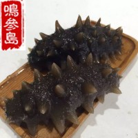 大連海參長(zhǎng)海縣深海即食海參遼參500g一件代發(fā)口感好工廠加工批發(fā)