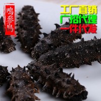 大連純淡干海參 深海海參干貨 廠家直銷貨源充足 可一件代發 50g