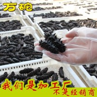 工廠直銷 大連海參半干海參拉缸鹽鹽漬海參500g20-60頭/斤可代發