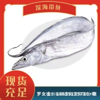 帶魚 海鮮 規格齊全 釣帶網帶 板凍條凍 新鮮現貨 可加工帶魚