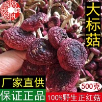 福建野生紅菇干貨大量批發(fā)產(chǎn)地直供云南廣西正紅菇非二紅 500克  2件起批