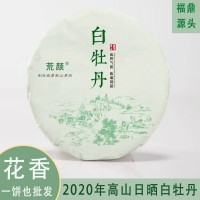 福鼎白茶2020年磻溪高山白牡丹300g白茶茶餅源產地高山茶茶葉批發