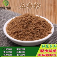 五香粉1千克 燒烤炸雞烤肉龍蝦調(diào)味粉 食品級香辛料配料  2千克起批