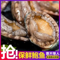 鮑夫人 批發(fā)AAA400g裝 帶殼活凍鮑魚 6頭凍鮑魚 熟凍鮑魚真空包裝  2盒起批