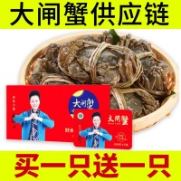 陽澄湖鎮(zhèn)大閘蟹禮券中秋禮品大閘蟹團購批發(fā)螃蟹量大價優(yōu)招代理